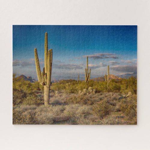 Deserts  Superstition Mountains Arizona Jigsaw Puzzle