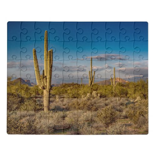 Deserts  Superstition Mountains Arizona Jigsaw Puzzle