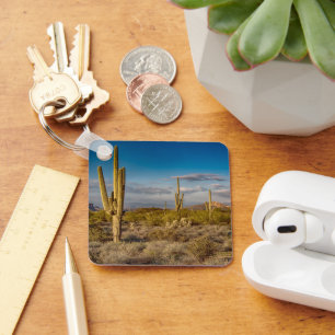 Deserts Superstition Mountains, Arizona Keychain