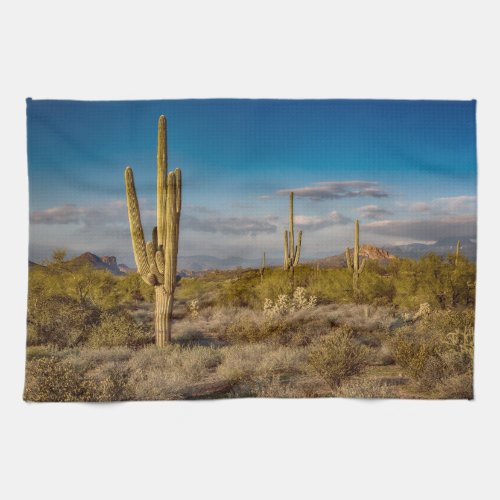 Deserts  Superstition Mountains Arizona Kitchen Towel