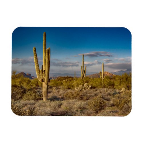 Deserts  Superstition Mountains Arizona Magnet