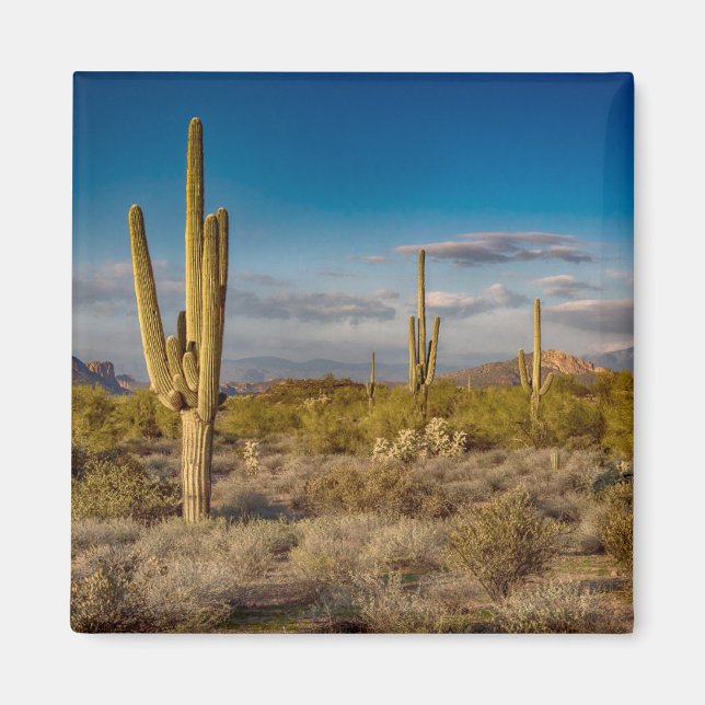 Deserts | Superstition Mountains, Arizona Magnet (Front)