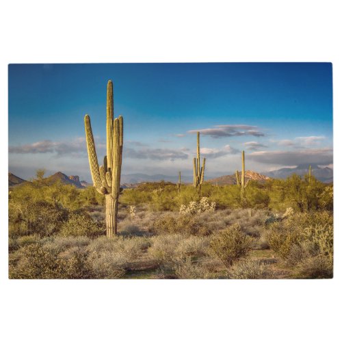 Deserts  Superstition Mountains Arizona Metal Print
