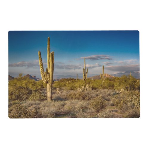 Deserts  Superstition Mountains Arizona Placemat