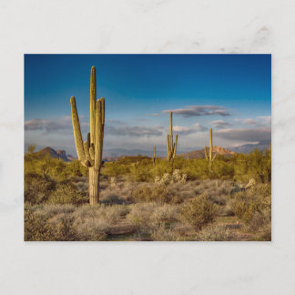 Deserts | Superstition Mountains, Arizona Postcard