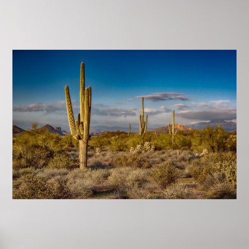 Deserts  Superstition Mountains Arizona Poster