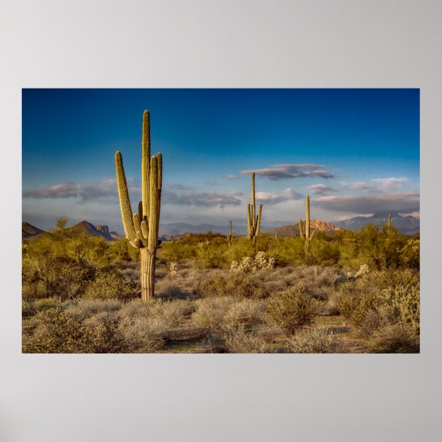 Deserts | Superstition Mountains, Arizona Poster (Front)