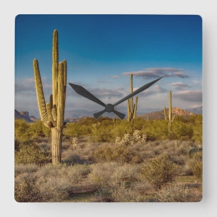 Deserts Superstition Mountains, Arizona Square Wall Clock