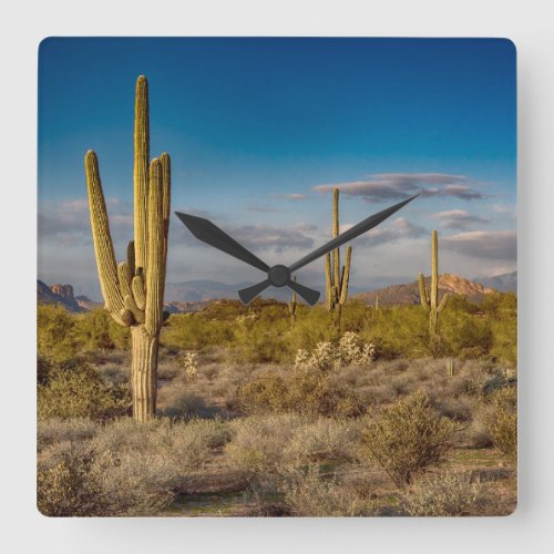 Deserts  Superstition Mountains Arizona Square Wall Clock