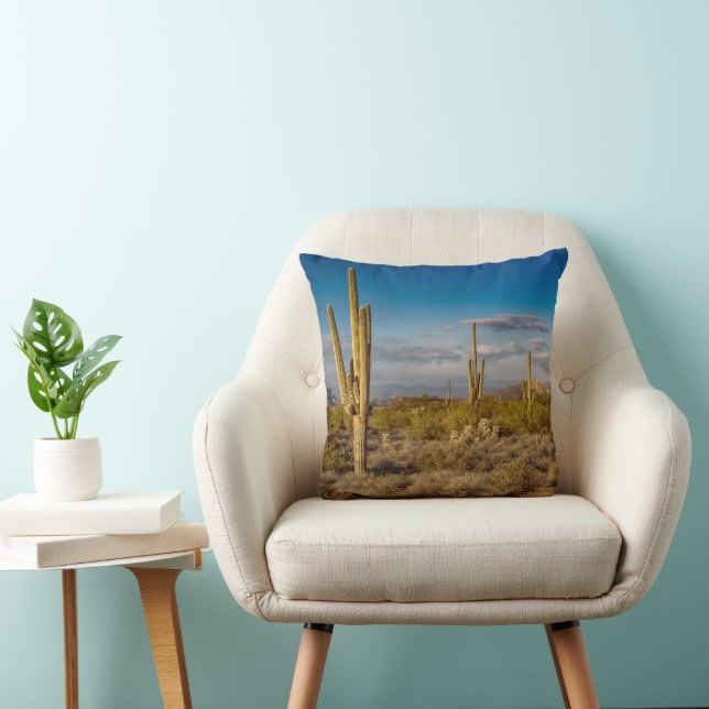 Deserts | Superstition Mountains, Arizona Throw Pillow (Chair)