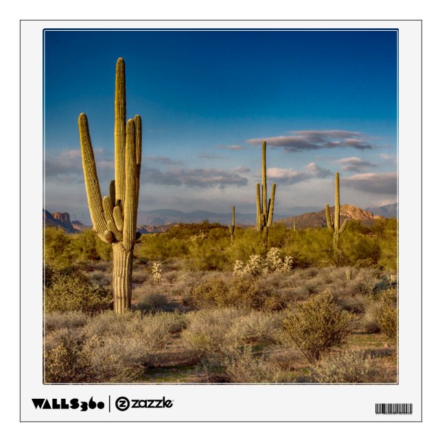 Deserts | Superstition Mountains, Arizona Wall Decal (Front)