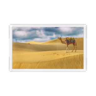 Deserts Thar Desert Rajasthan India Camel Acrylic Tray