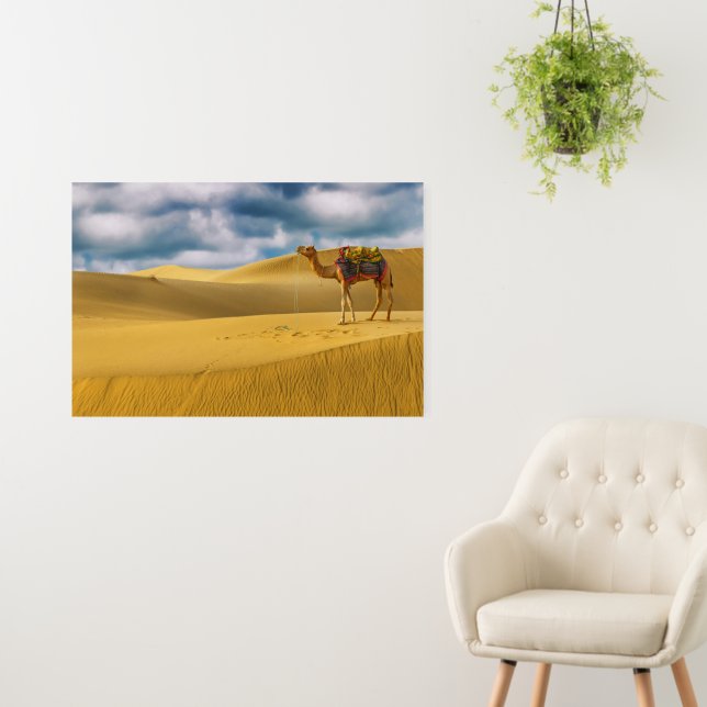 Deserts | Thar Desert Rajasthan India Camel Foam Board (In Situ (Wall))