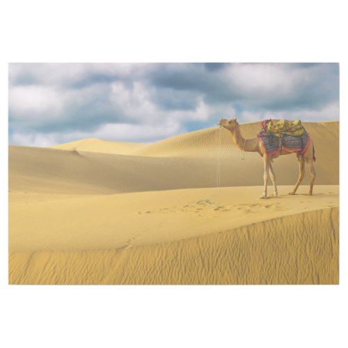 Deserts  Thar Desert Rajasthan India Camel Gallery Wrap