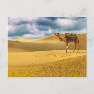 Deserts Thar Desert Rajasthan India Camel Postcard