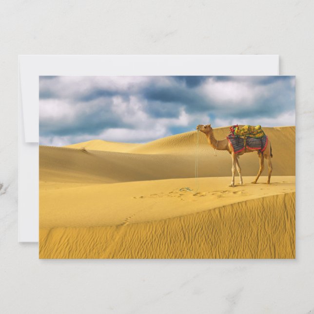 Deserts | Thar Desert Rajasthan India Camel Thank You Card (Front)