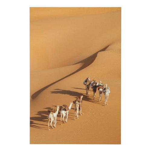 Deserts  Tuareg Walk with Camels Faux Canvas Print