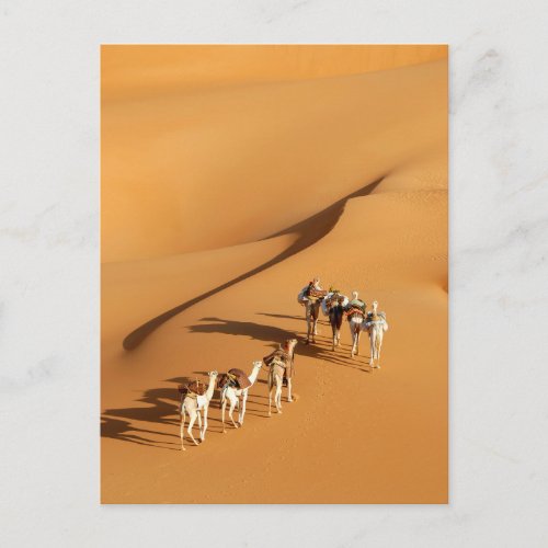 Deserts  Tuareg Walk with Camels Postcard