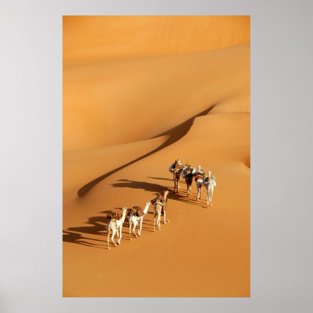Deserts | Tuareg Walk with Camels Poster (Front)
