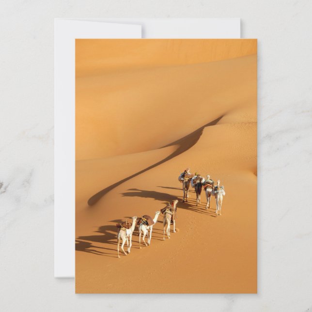 Deserts | Tuareg Walk with Camels Thank You Card (Front)