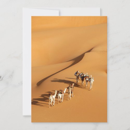 Deserts  Tuareg Walk with Camels Thank You Card