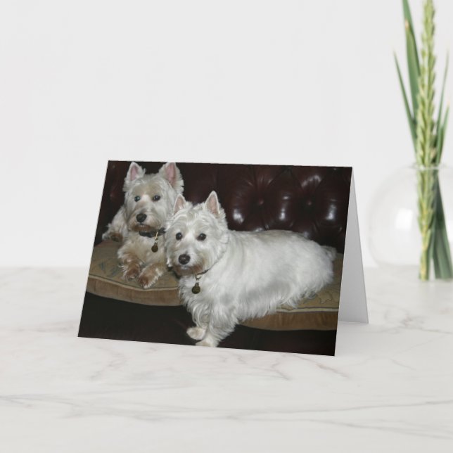 Desi & Lucy Card (Front)