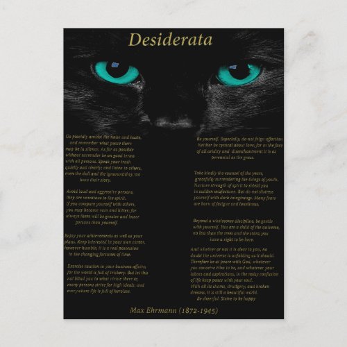 Desiderata black cat with his Turquoise eyes Postcard