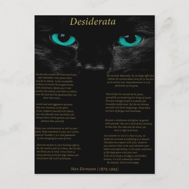 Desiderata black cat with his Turquoise eyes Postcard (Front)
