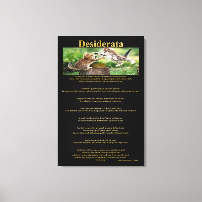 Desiderata Cat Fight Canvas Print (Front)