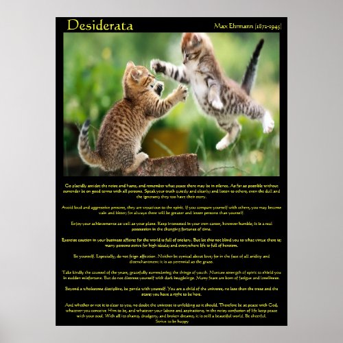 Desiderata Cat Fight Posters