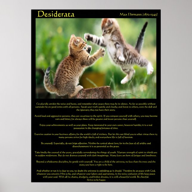 Desiderata Cat Fight Posters (Front)