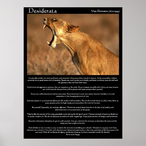 Desiderata cougar showing his teeth poster