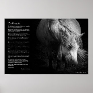 Desiderata - Fine Art Pony Head and Mane Poster
