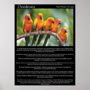 Desiderata five orange and green canary poster