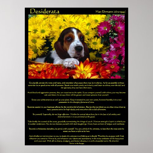 Desiderata Flower Beagle Posters
