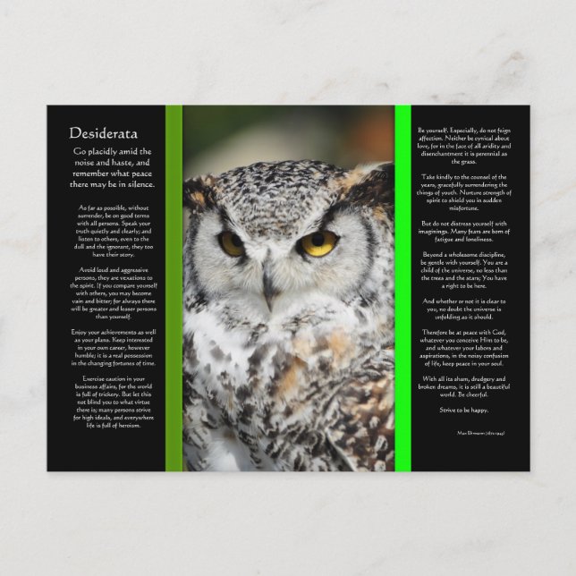 DESIDERATA Great Horn Owl Postcard 1 (Front)