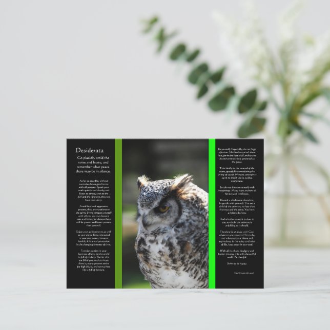 DESIDERATA Great Horn Owl Postcard 6 (Standing Front)