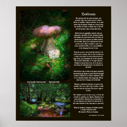 Desiderata _ Hidden Sights of Fairytale Dartmoor Poster