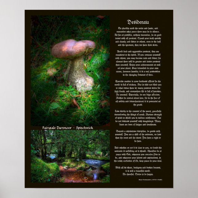 Desiderata - Hidden Sights of Fairytale Dartmoor Poster (Front)