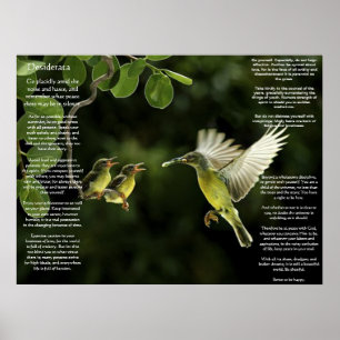 Desiderata Hummingbird Posters