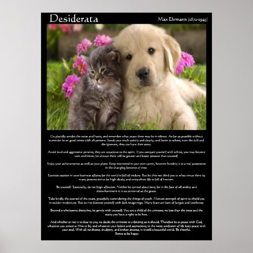 Desiderata kittens next to a puppy Posters