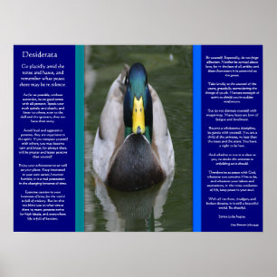 DESIDERATA Looking Duck Posters