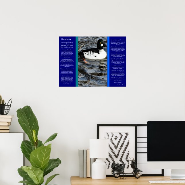 DESIDERATA Looking Duck Posters (Home Office)
