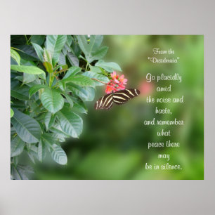 Desiderata On Photo of zebra wing butterfly Poster