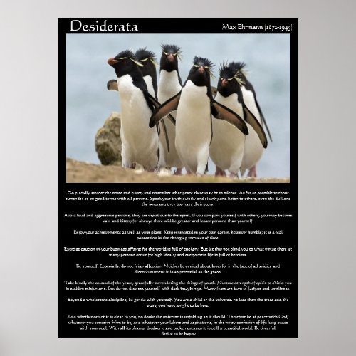 Desiderata Penguins Walking Posters