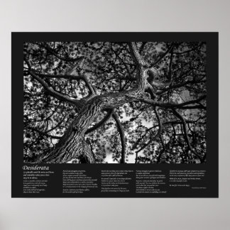 Desiderata Poem - Canadian Pine, Fine Art Poster