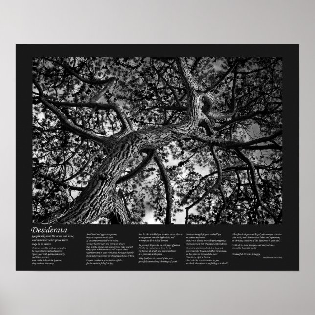 Desiderata Poem - Canadian Pine, Fine Art Poster (Front)