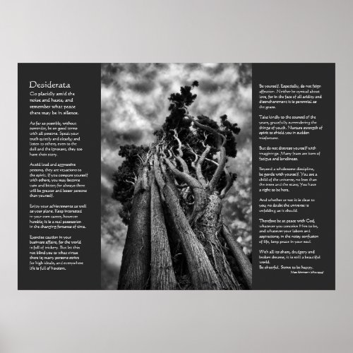 Desiderata Poem _ Clawing The Skies Poster