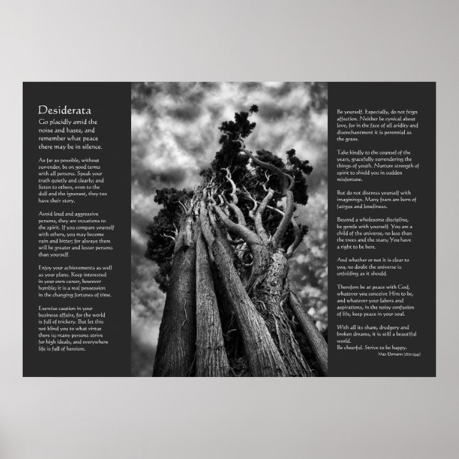 Desiderata Poem - Clawing The Skies Poster (Front)