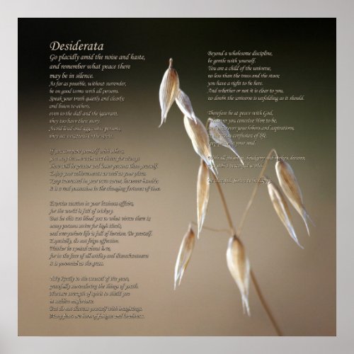 Desiderata Poem on Fruiting Wild Oat Poster